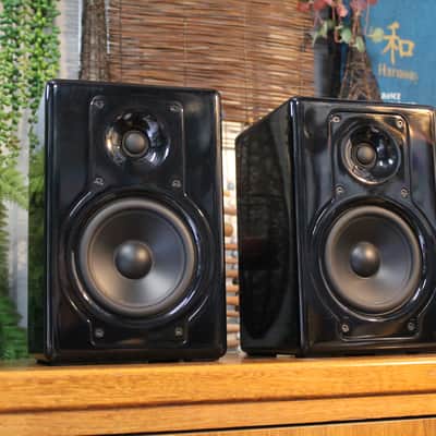 Unison I-X5 2-Way Bi-Amp Powered Speakers - Hand Built Tuned Enclosures image 9