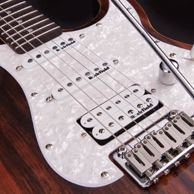 Michael Kelly 1965 Ebony Custom Collection, EPIC ELEVEN MOD, Striped Ebony Top, Swamp Ash Body image 11