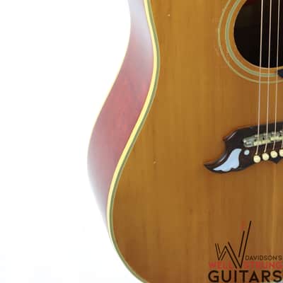 1965 Gibson Dove - Natural image 6