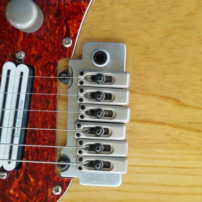 Very Rare_Cort G260 Swamp Ash Body with Hot Rails Pickups, 5-Way Switch, Coil Split & New Gig bag image 18