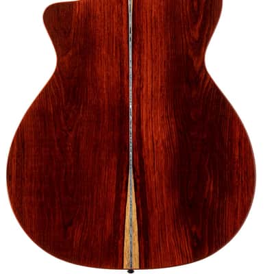 Prestige Master Class Cocobolo (with Fishman Electronics) w/Case image 3