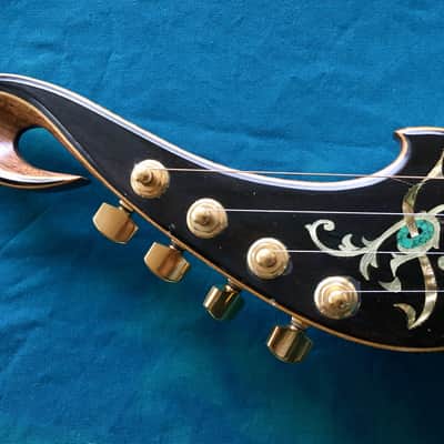 Sam Rizzetta Custom Lap Dulcimer (used) image 2