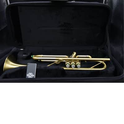 Selmer-Paris Concept TT 2009 - matt gold image 17
