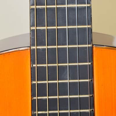 D. Catala Guitarras GO-50 Classical Acoustic Guitar w/ Hardshell Case image 7