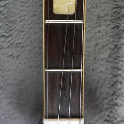 Vintage Tenesy Thumb Standard 5-String Banjo w/ Hard Case image 9