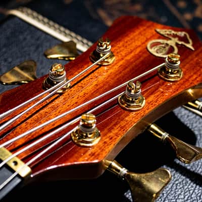 ALEMBIC MJLB5F Signature Standard 2010 image 4