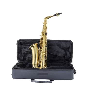 Prelude by Selmer PAS111 Student Alto Saxophone Outfit (FIREWORKS26) image 5