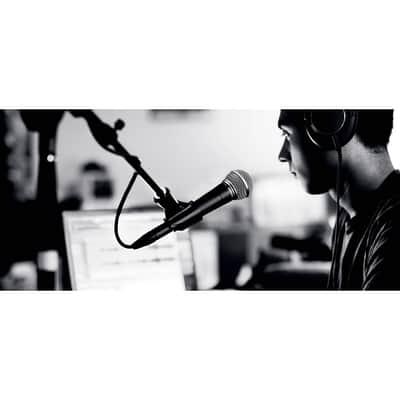 SM 58 Shure image 4