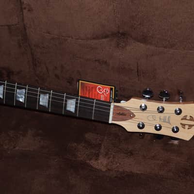CMG Ashlee Semi-Hollow 2022 Sandbar Burst image 5