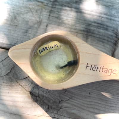 VARIUM - Electric Musical Spoons - Altered Héritage Large Wooden ‘Boite-a-Bois’- Piezo Percussion Instrument - 1/4” Jack image 2