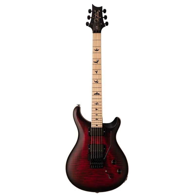 PRS Dustie Waring Signature CE 24 Floyd image 1