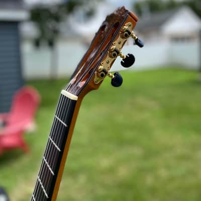 Cordoba 55FCE Thinbody Classical with Electronics 2000s - Natural image 4