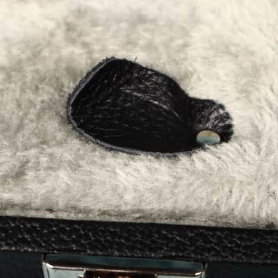 ESP LTD EC-1000 Hardshell Case image 5