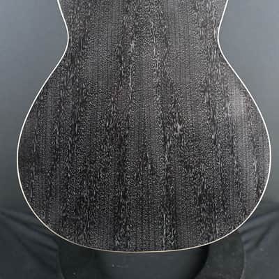 PRS SE P20E Parlor Acoustic Guitar Dog Hair #517 image 15
