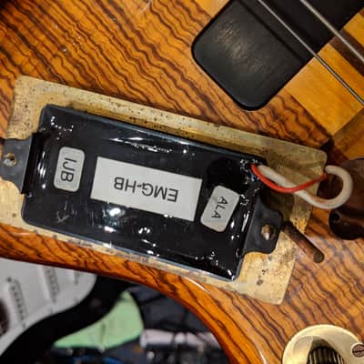 Alembic Series 1 1975 34" Scale Length image 22