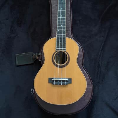 MP Mike Pereira Custom Tenor Ukulele 2013 image 17