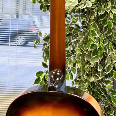 Framus 5 1/50 Vintage 1966 Flattop Jazz/Blues Parlor Acoustic Guitar - Made in Germany image 8