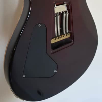 Paul Reed Smith PRS Custom 24 10-Top 2011 -Dark Cherry Sunburst image 17