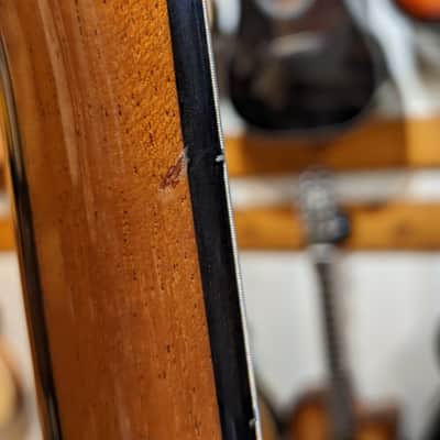 Alhambra CS-2 CW E2 Crossover Classical Guitar w/Case (Used) image 7
