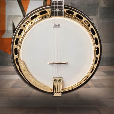 Washburn B17 Americana Series (5 String) Banjo - Tobacco Sunburst (B17K-D-U) image 1