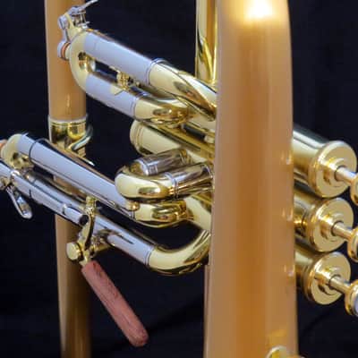 *Final Price* CarolBrass CFL-6200-RSS-Bb Satin Lacquer Bell Demo Stock Like-New image 4