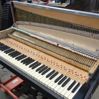 Rhodes Stage 73 Mk ll elec piano + V Vibe (USB) Stereovibe & FREE UK delivery image 16