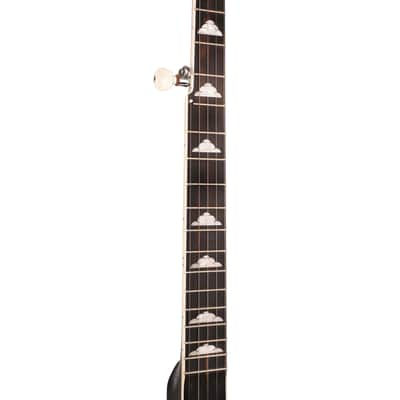 Gold Tone WL-250 White Ladye Professional Maple Neck Openback Banjo with Gig Bag image 8