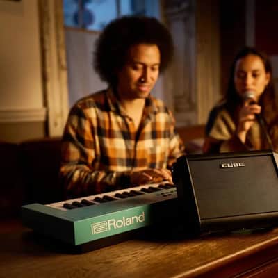 Roland Cube Street Mini Guitar And Vocal Amplifier Combo image 9