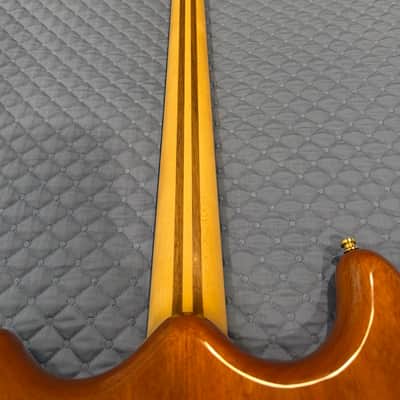 Alembic Custom 4 String JPJ 2016 - Zebrawood image 3