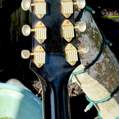 Guild Nightbird GG 1986 Black image 6