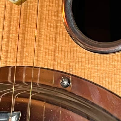 Scheerhorn L Body Spruce and Rosewood Resonator Guitar with Calton Case image 3