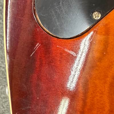 Dobro Dobrolektric Resonator Slide 1999 P-90 & Piezo image 11