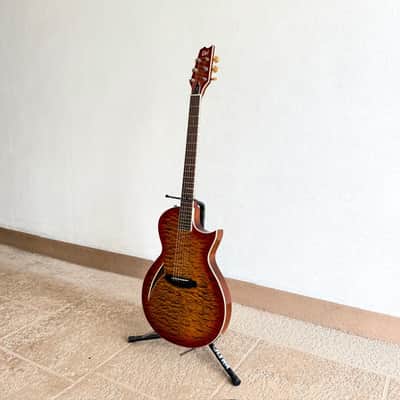 ESP LTD TL-6 with Jatoba Fretboard 2020 - Present - Tiger Eye Burst image 2