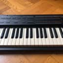 Roland A-33 76-Key MIDI Keyboard Controller 1996 - 2001 - Black