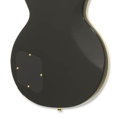 Aria Pro II PE-350CST Aged Black image 3