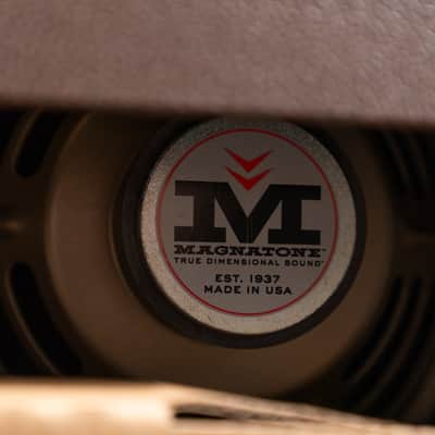 Magnatone Panoramic Stereo 2X10 Combo Amplifier - Traditional Brown image 8