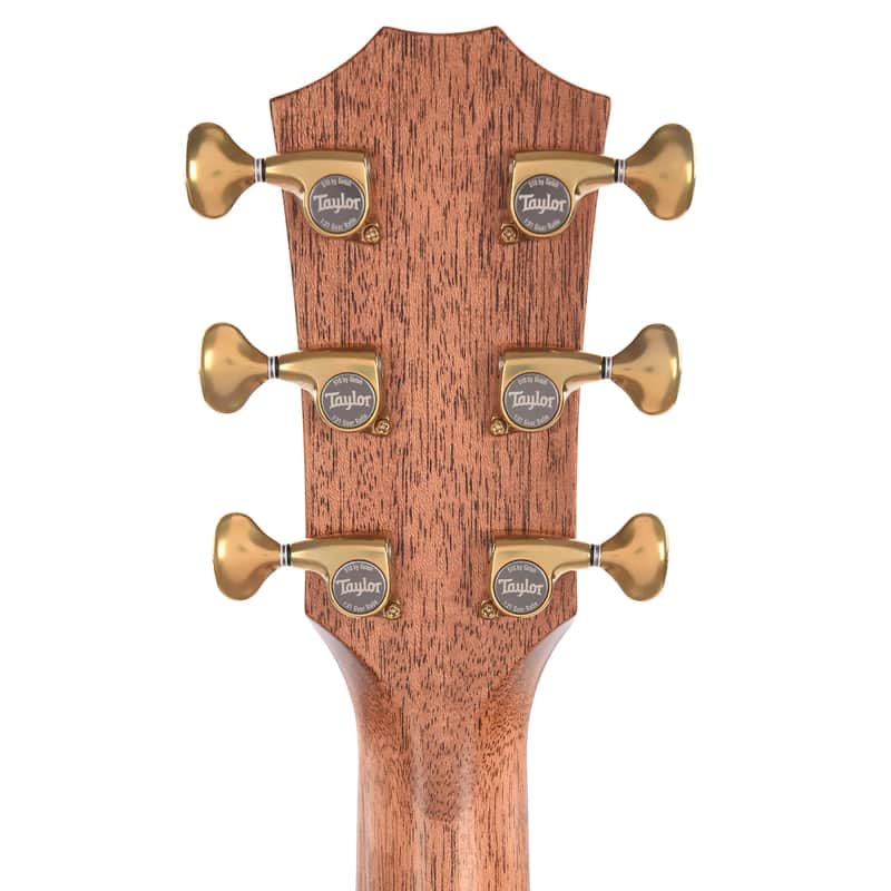 Taylor Builder's Edition 816ce with V-Class Bracing image 7
