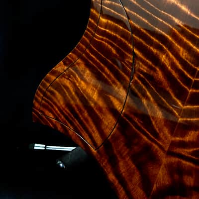 Bezard Guitars Famine 5 String Fretless, Custom Shop, Single Cut Boutique Bass image 20