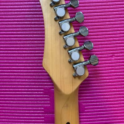 Samick Valley Arts Ray Benson Signature Series Telecaster image 10
