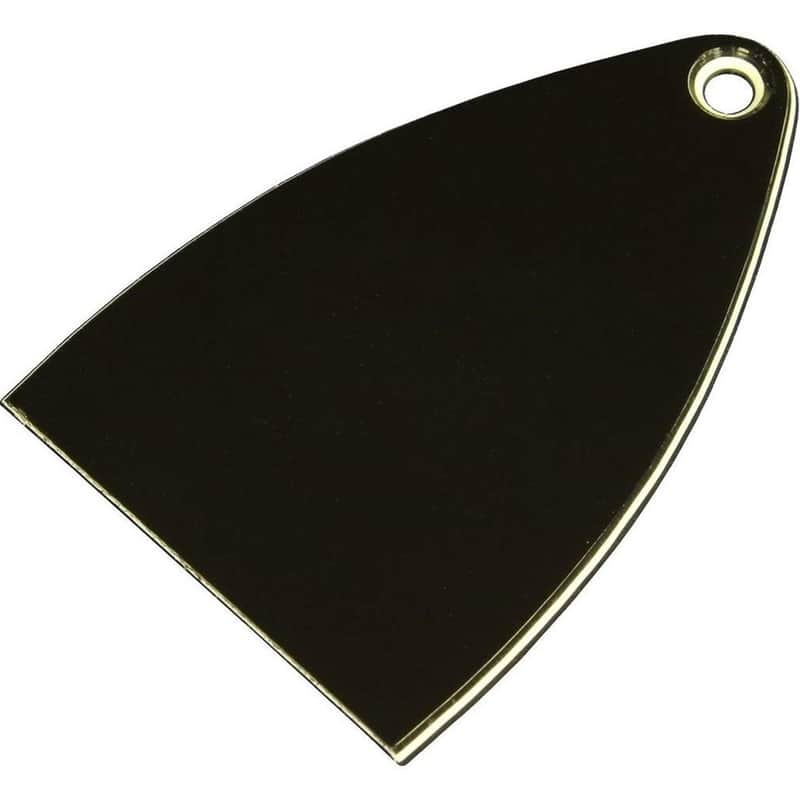 PRS Core / CE / S2 Blank Truss Rod Cover image 1