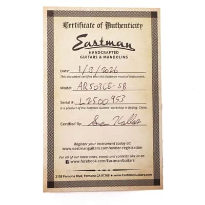Eastman AR503CE Hollowbody Sunburst image 10