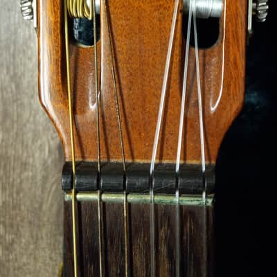 1962 Epiphone EC100 Seville Classical Guitar Kalamazoo Michigan image 18