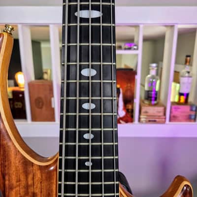 Alembic Rogue 1999 image 4