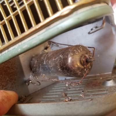 Telefunken Iconic Rare Early Stereo Tube Amp S81 1958-1961 - Pale Green Hammered Paint image 12
