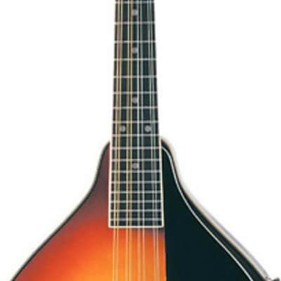 Washburn M1S Americana Series Solid Spruce Top A-Style Maple Back & Sides Mandolin - Gloss Sunburst image 6