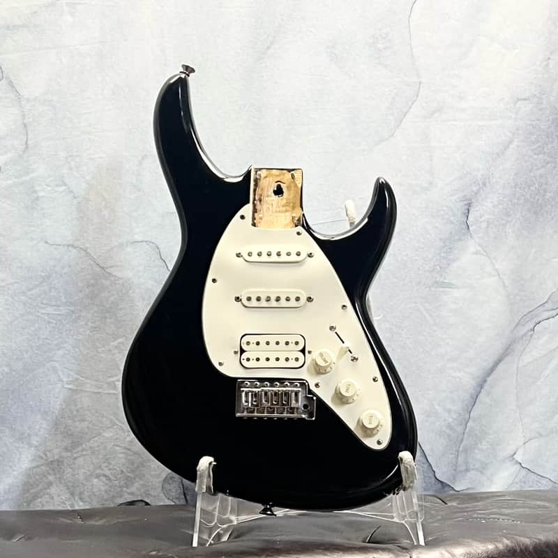 Unbranded Stratocaster Body