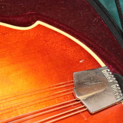 Eastman Mandolin DGM-2 Dawg Bacon copy modern vintage Bild 3