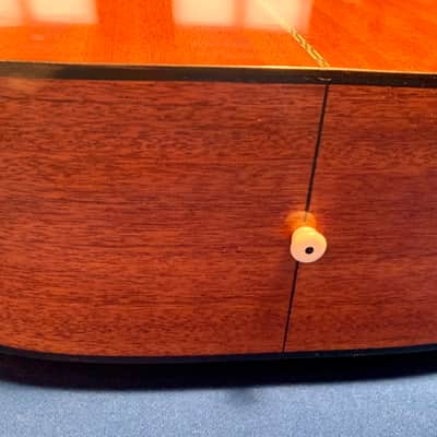 Washburn D-15 image 13