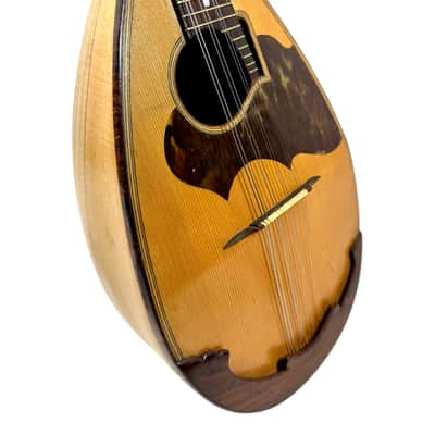 Concert Mandolin G. Kasermann (Carlo Sartori Label) from 1929 image 4