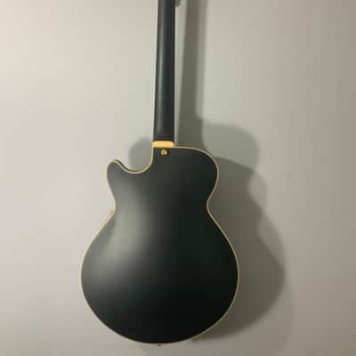 D'Angelico Deluxe SS Semi-Hollow body Susan Tedeschi owned guitar image 9